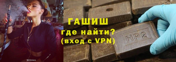 гидра Няндома