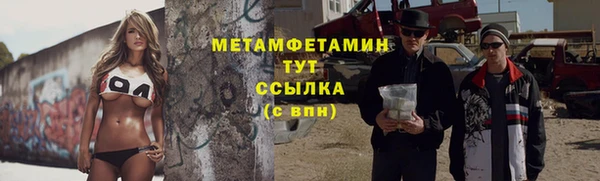 гидра Няндома