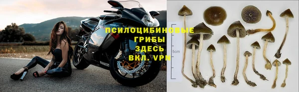 гидра Няндома