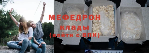 гидра Няндома