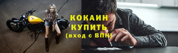 прущие грибы Нязепетровск