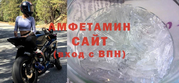 гидра Няндома