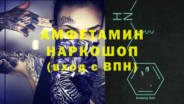 гидра Няндома