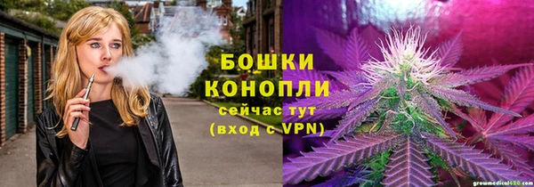 шишки Билибино