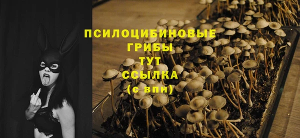 кристаллы Бикин