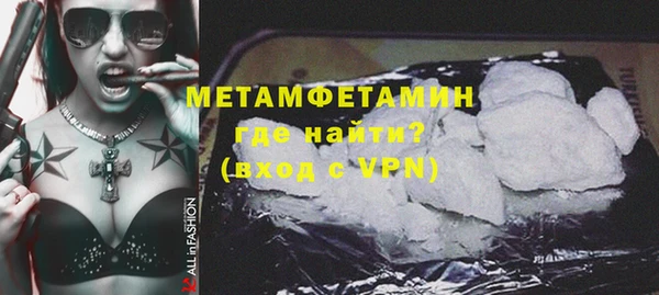 гидра Няндома