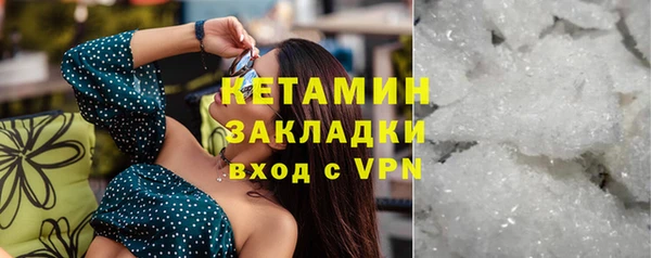 гидра Няндома