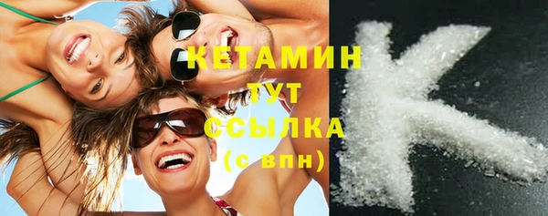 гидра Няндома