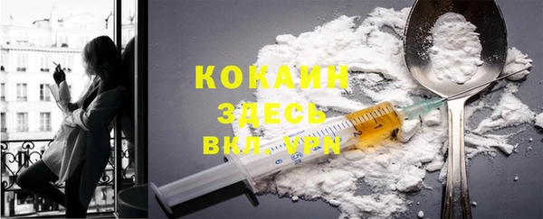 прущие грибы Нязепетровск