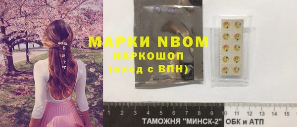 гидра Няндома