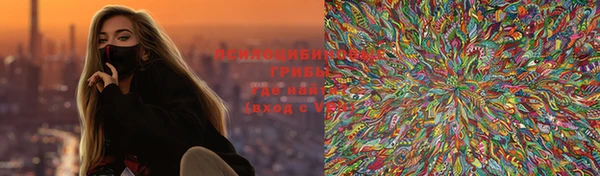 гидра Няндома