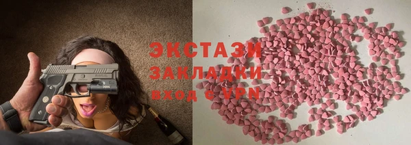 гидра Няндома