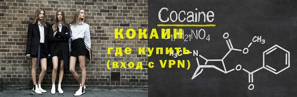 гидра Няндома