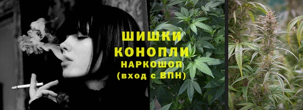 прущие грибы Нязепетровск
