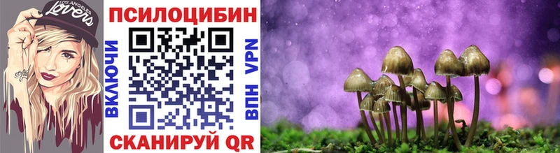 KRAKEN ССЫЛКА  магазин продажи наркотиков  Починок  нарко площадка клад  Псилоцибиновые грибы Cubensis 